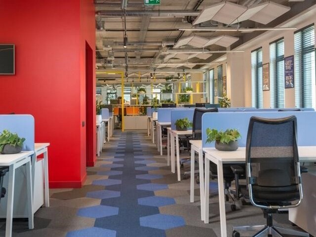 本科水利水电的毕业论文综述