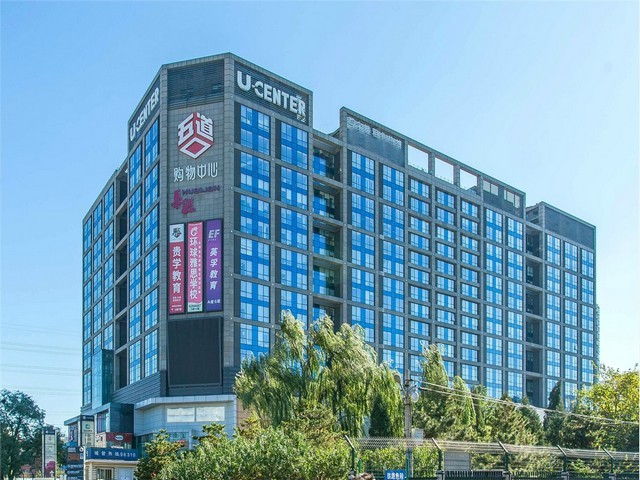 浙江环保塑料绿植批发